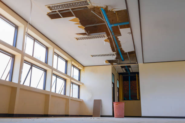 Best Water damage contractors near me  in Selbyville, DE