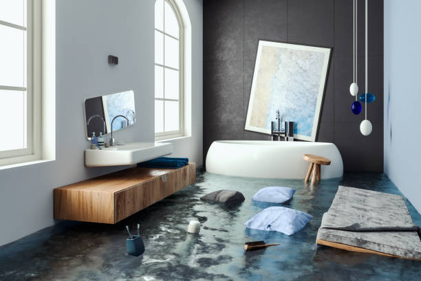 Best Flooded house restoration  in Selbyville, DE
