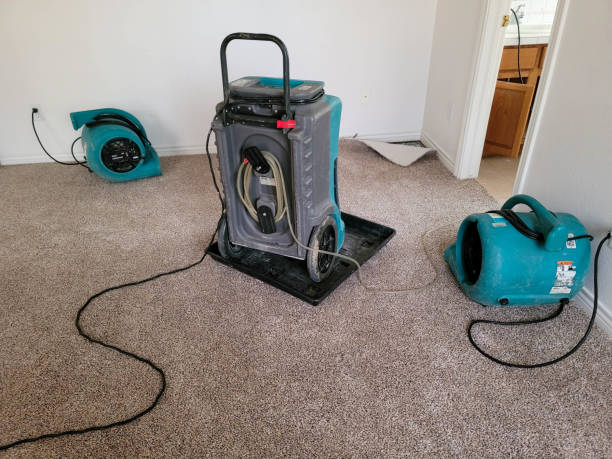 Best Carpet water damage restoration  in Selbyville, DE