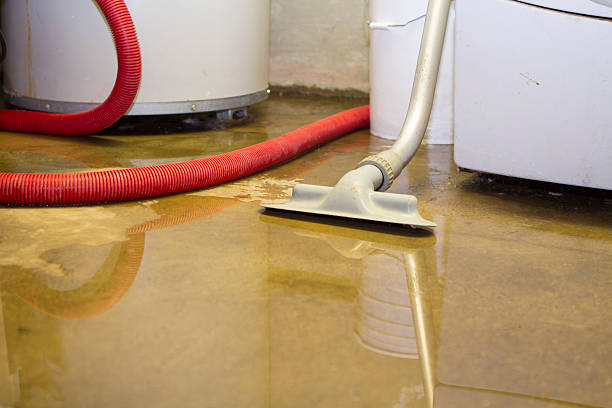 Best Water damage mitigation services  in Selbyville, DE