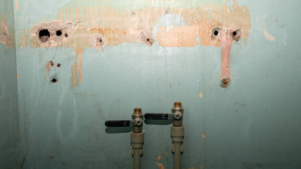Best Sewage cleanup and water damage restoration  in Selbyville, DE