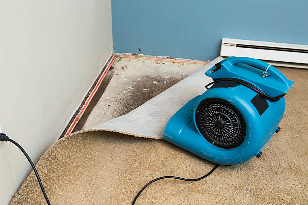 Best Flood restoration services  in Selbyville, DE